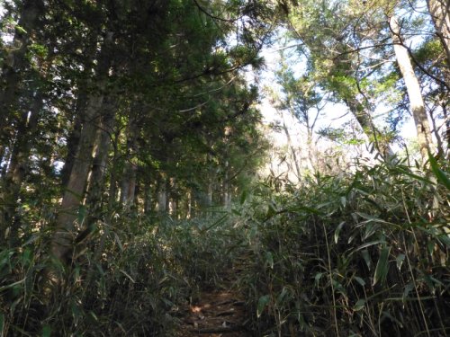 画像19